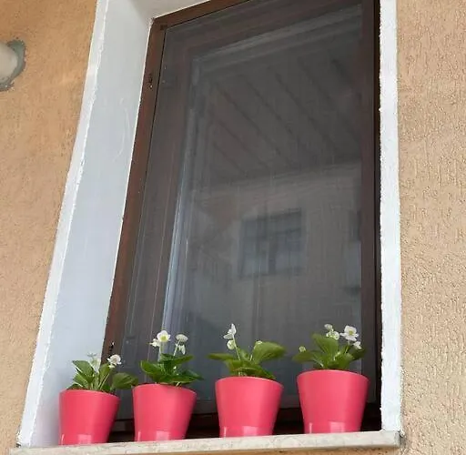 Apartament 2 Camere Mogosoaia