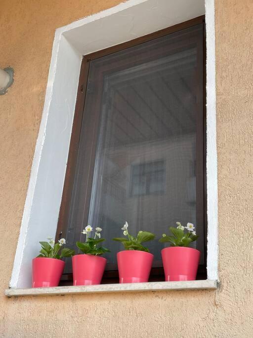 Apartment 2 Mogosoaia