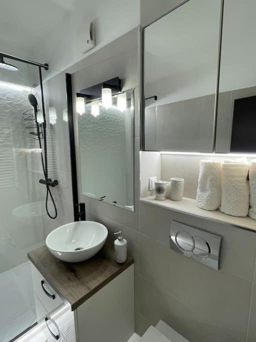 Apartment 2 Mogosoaia